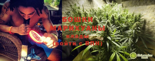 мдпв Дегтярск