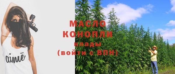 дмт Переславль-Залесский