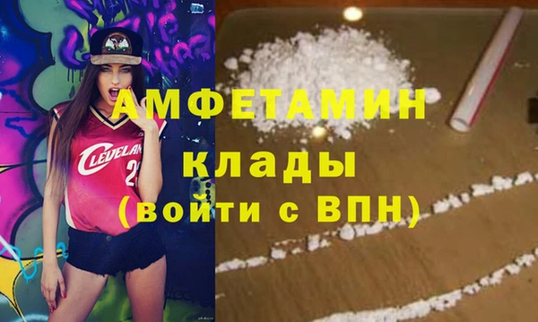 сатива Покачи