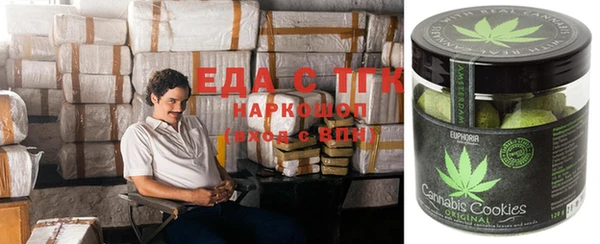 сатива Покачи